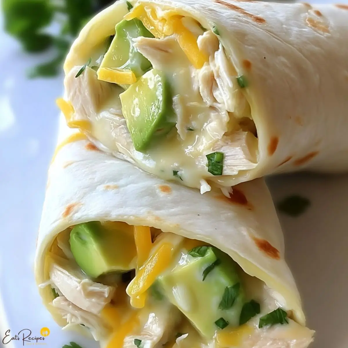 Chicken Avocado Ranch Burritos A Must-Try Recipe